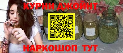 прущие грибы Можайск