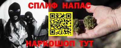 прущие грибы Можайск