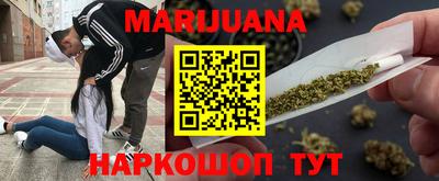 прущие грибы Можайск