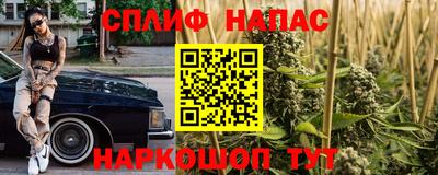 прущие грибы Можайск